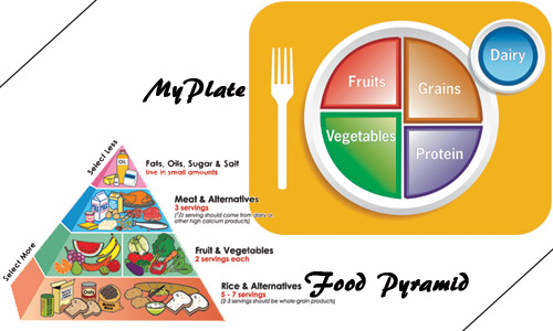 MyPlate Food Chart