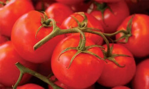 Foods Once Considered Unfit to Eat-tomato