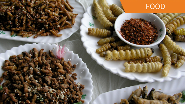 insects for human consumption