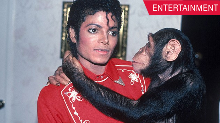 Michael Jackson’s chimpanzee is now selling his paintings in Miami!