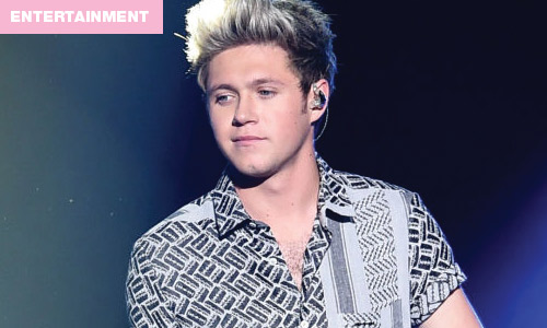Niall Horan reveals when reunion might happen
