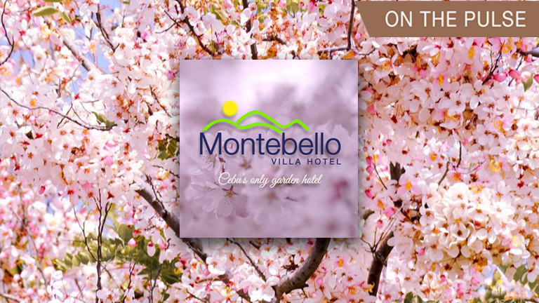 cherry blossoms at Montebello Villa Hotel