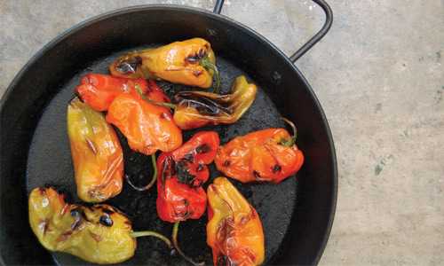 roasted fresh peppers
